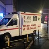 Ambulanța veterinară