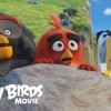 Trailer: Angry Birds movie