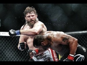 Read more about the article Și grașii pot câștiga meciuri de MMA